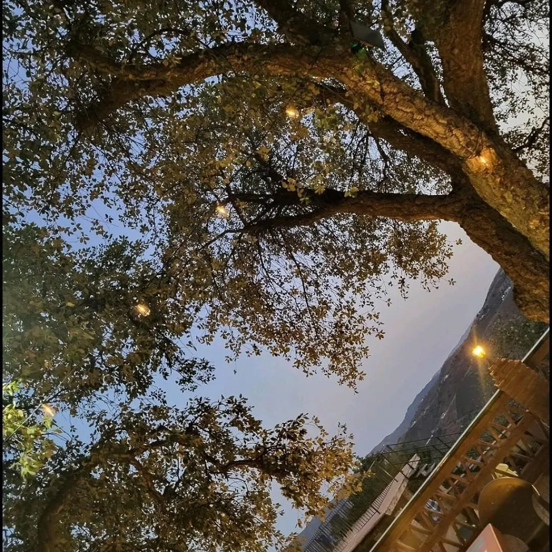 Villa Paraiso Andaluz Málaga